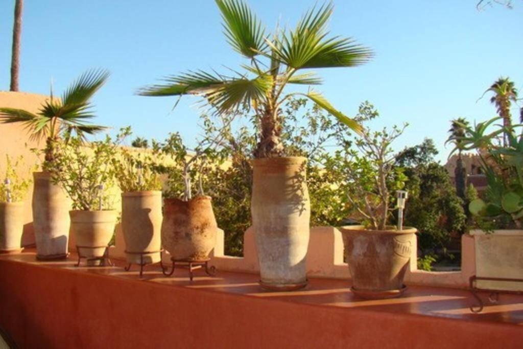 فيلا Emplacement N°1 ! Riad Ica مراكش المظهر الخارجي الصورة
